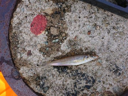 タイミング悪い